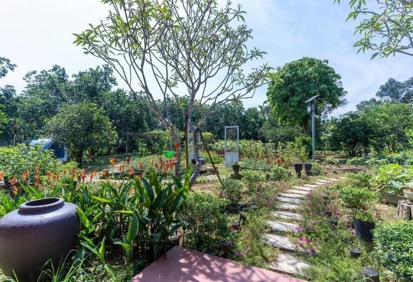 Пансион Thai Gia Trang Farmstay