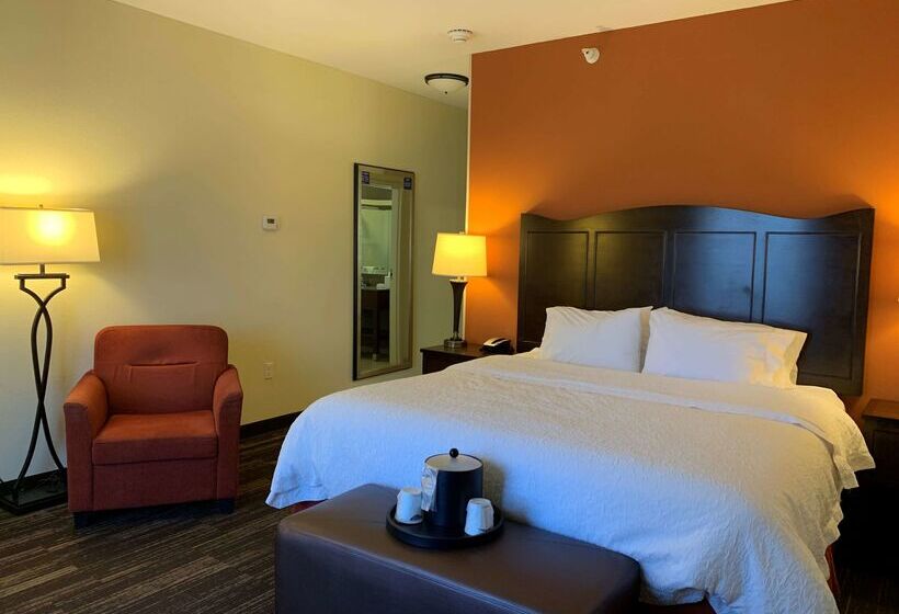 ホテル Hampton Inn Poplar Bluff