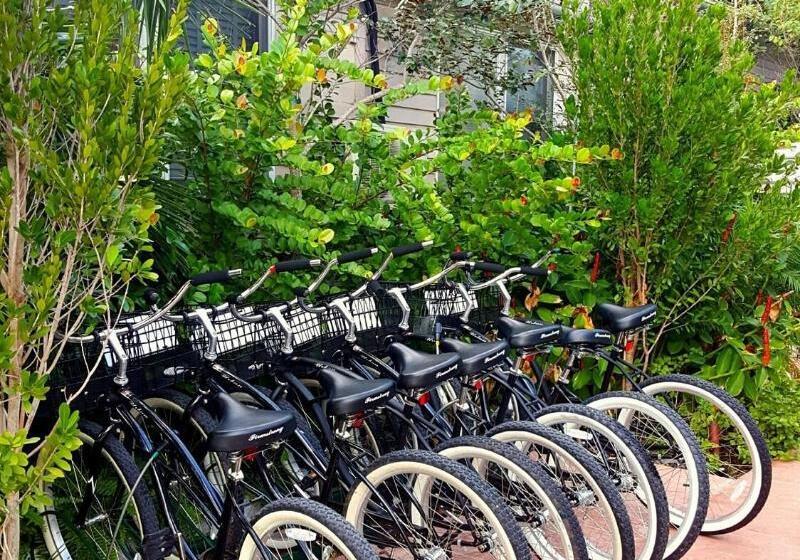 The Saint Hotel Key West, Autograph Collection, Adult Only