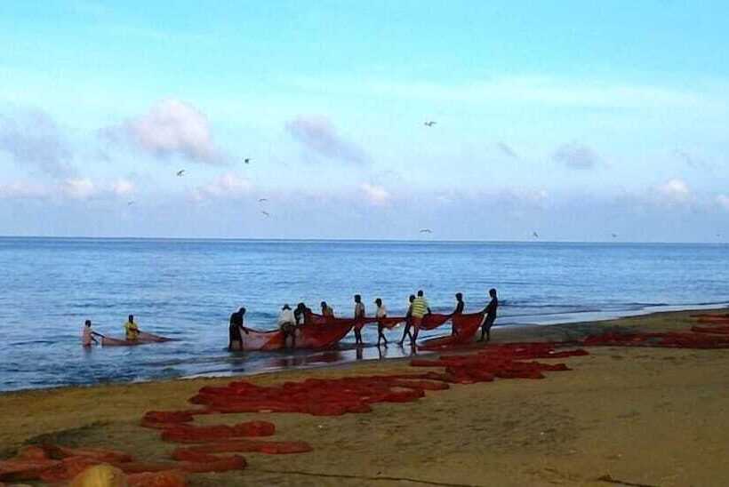 리조트 Palagama Beach