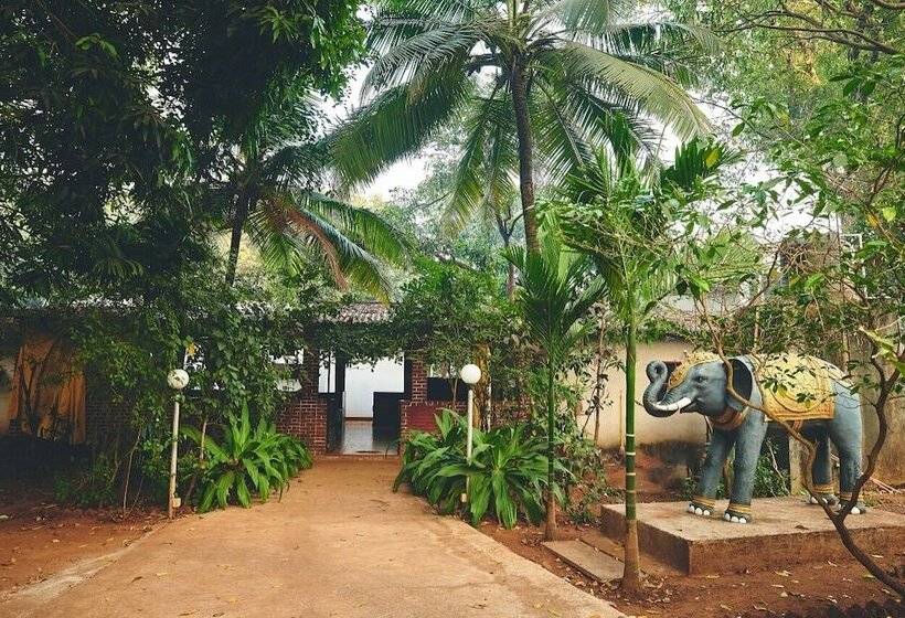 הוסטל Natures Nest Resort