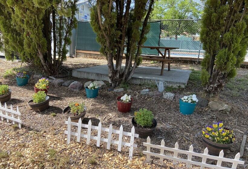 Clearlake Cabins