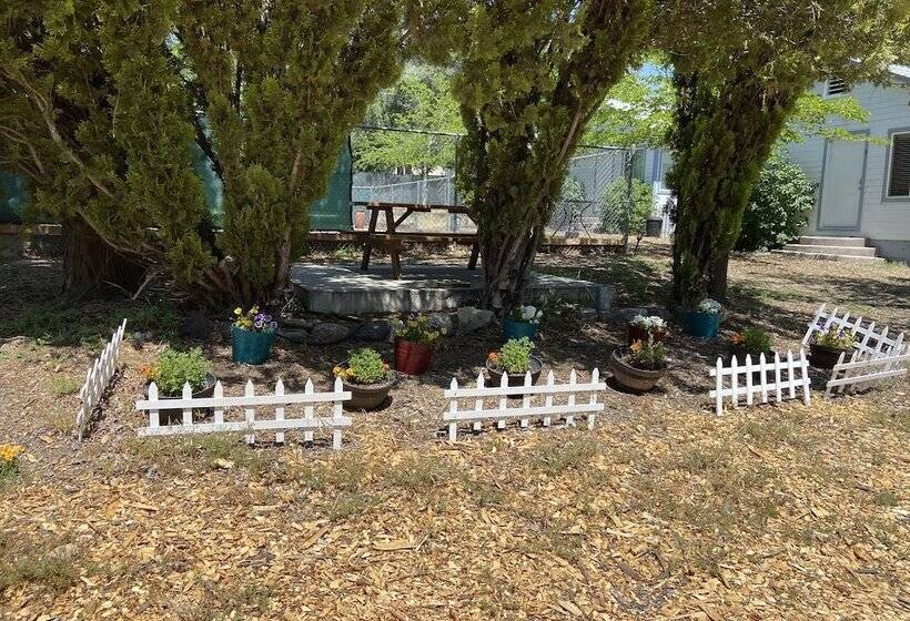 Clearlake Cabins
