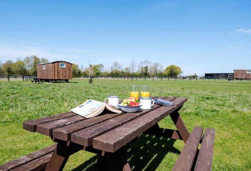 Honeysuckle Farm Hut 4   Suffolk Farm Holidays