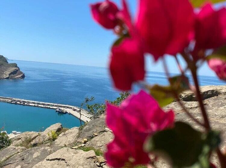 مسافرخانه İmroz Begonvil