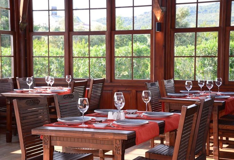 בית מלון כפרי Enso Inn