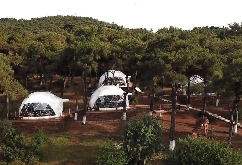 ホテル Glamping Büyükada