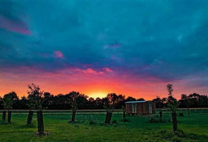 בית מלון כפרי Honeysuckle Farm Hut 3   Suffolk Farm Holidays