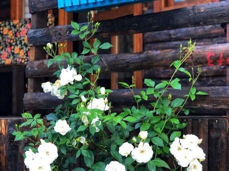 هتل Zeytindagi Bungalow