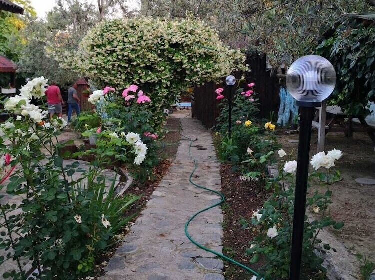 هتل Zeytindagi Bungalow