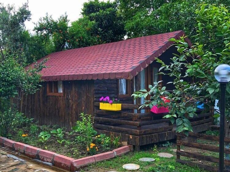 هتل Zeytindagi Bungalow