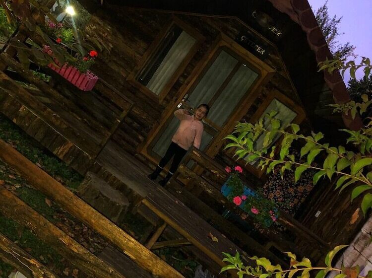 هتل Zeytindagi Bungalow