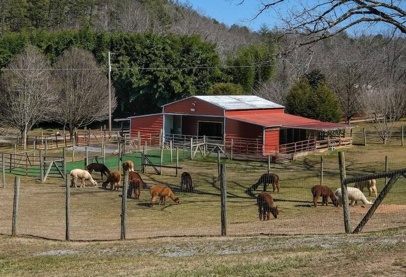 פנסיון Cobb Creek Cabins