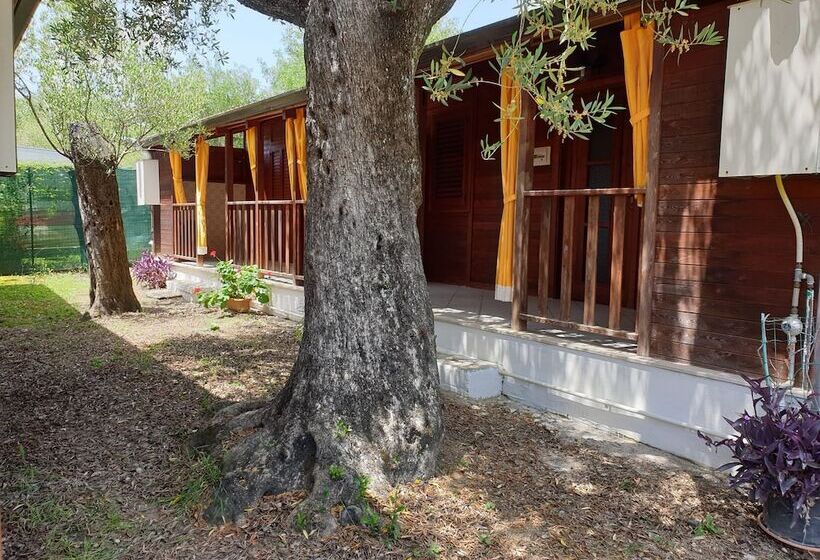 إقامة Summer Paradise