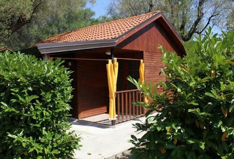 إقامة Summer Paradise