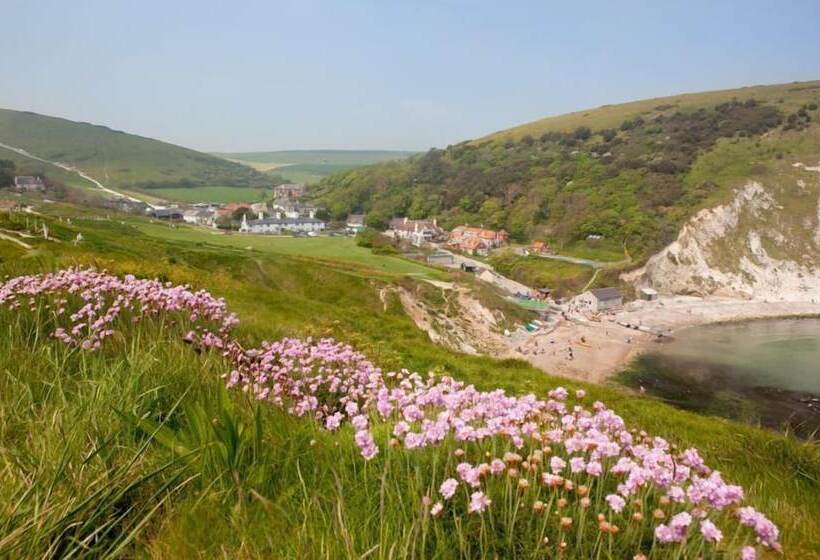 The Lambs  Pen