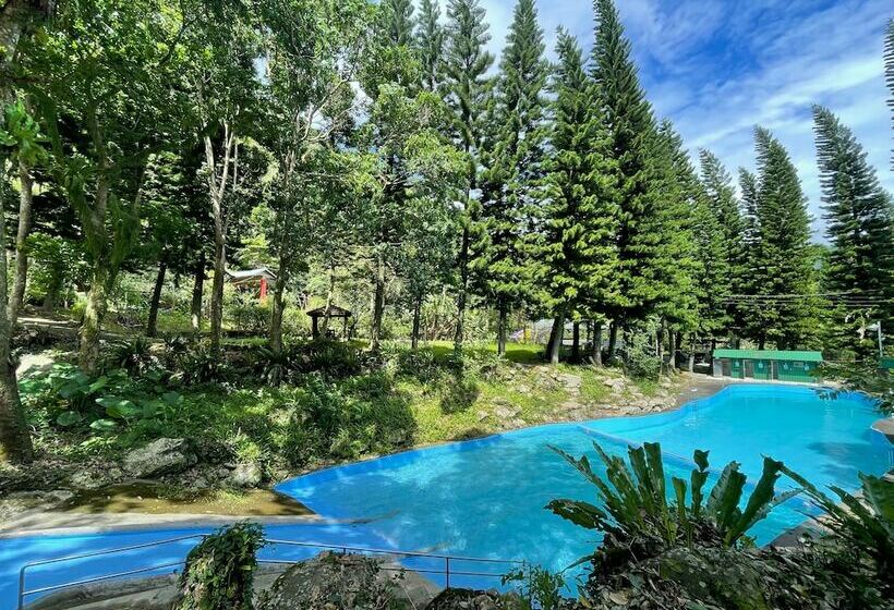 تختخواب و صبحانه Nanyang62