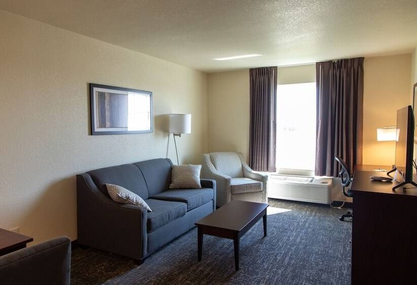 فندق Cobblestone Inn & Suites  Springfield