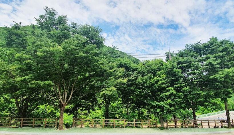 호텔 Jirisan Yeonriji Pension