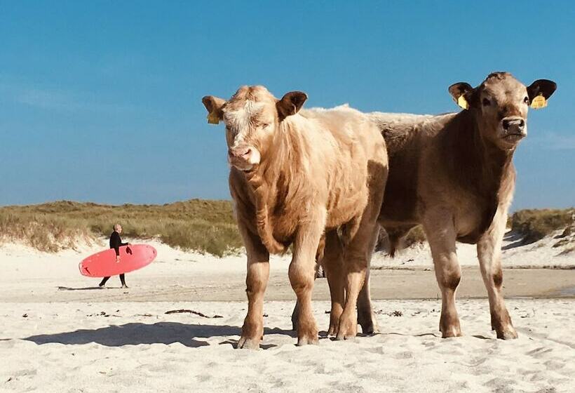 בית מלון כפרי Kirkapol Beach Pod   Flow