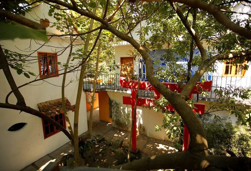 호텔 La Casa De Los árboles