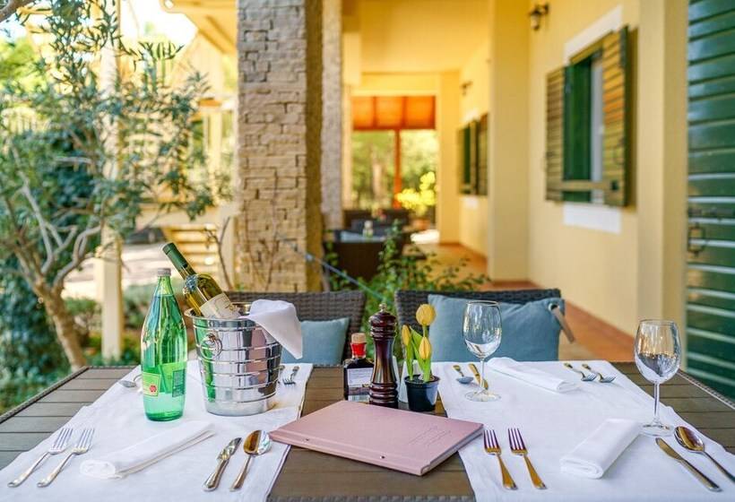 פנסיון Cozy Park View Room With Breakfast Included