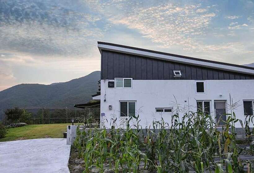 Pohang Haneulbyeoliyagi Pension