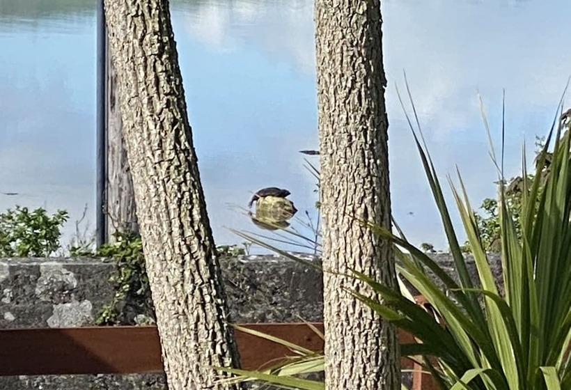 Seaview Cottage On The Island