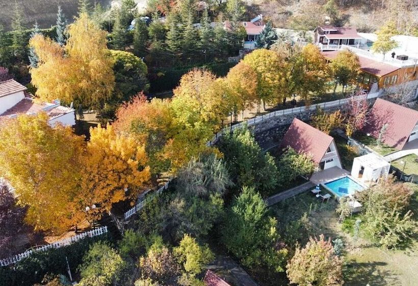 בית מלון כפרי çeli̇k Resort