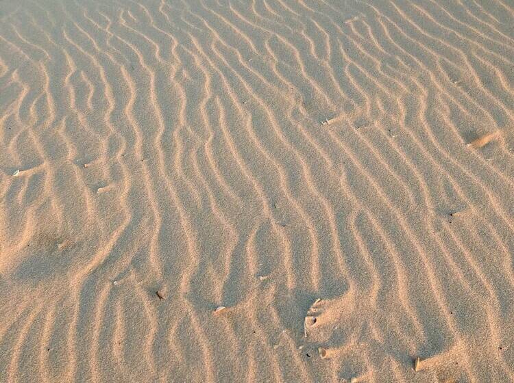 فندق Club De Patos