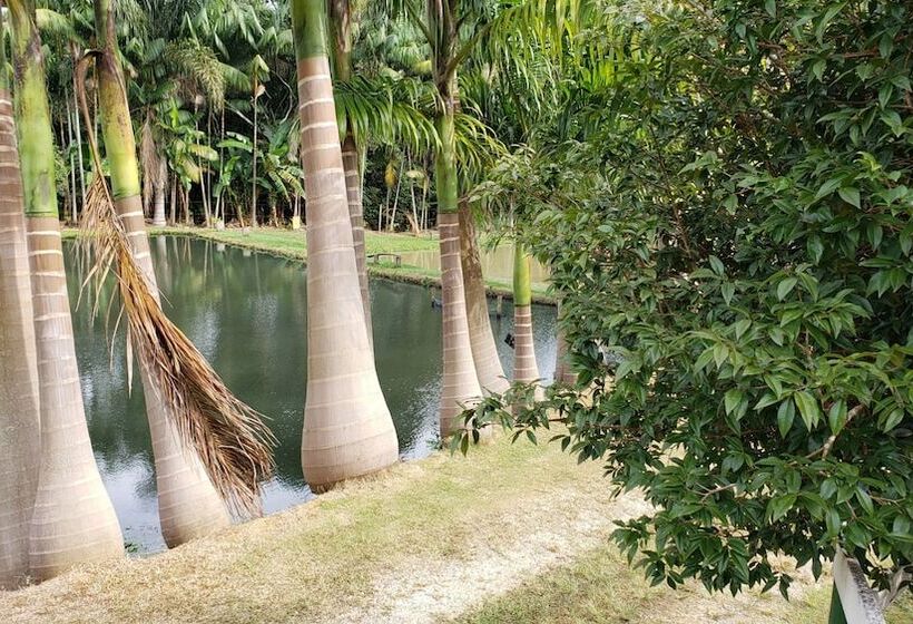 בית מלון כפרי Pousada & Parada Olhos D água