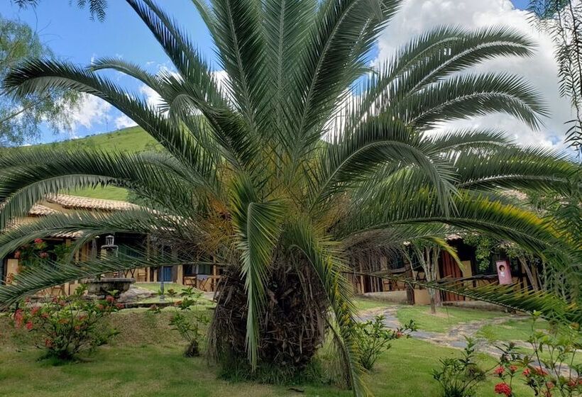 בית מלון כפרי Pousada & Parada Olhos D água