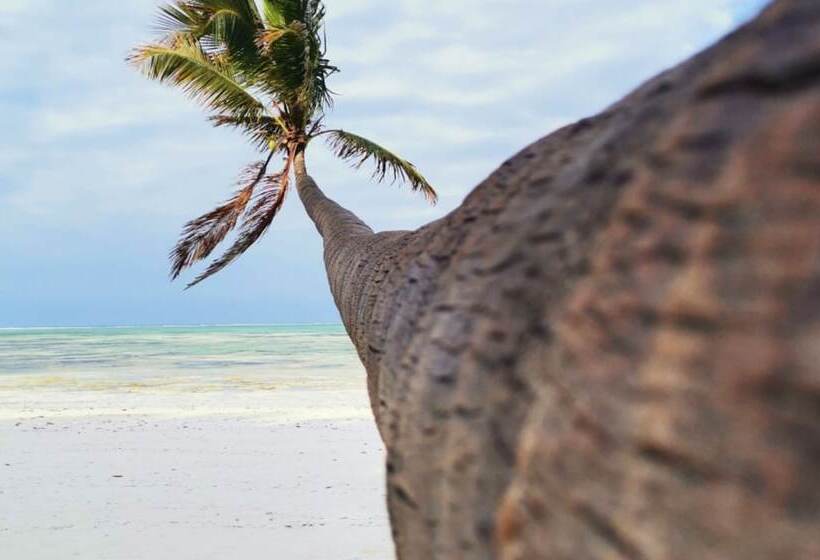 בית מלון כפרי Serenity House Zanzibar