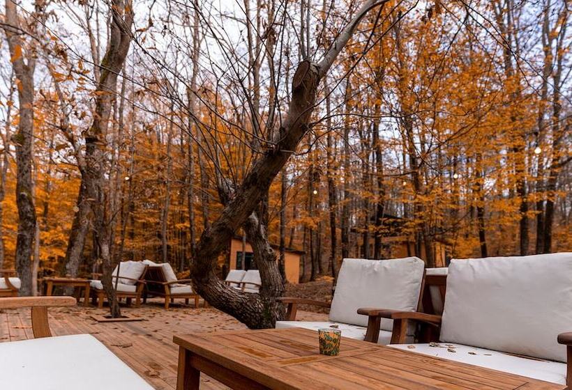 בית מלון כפרי šuma Disanje