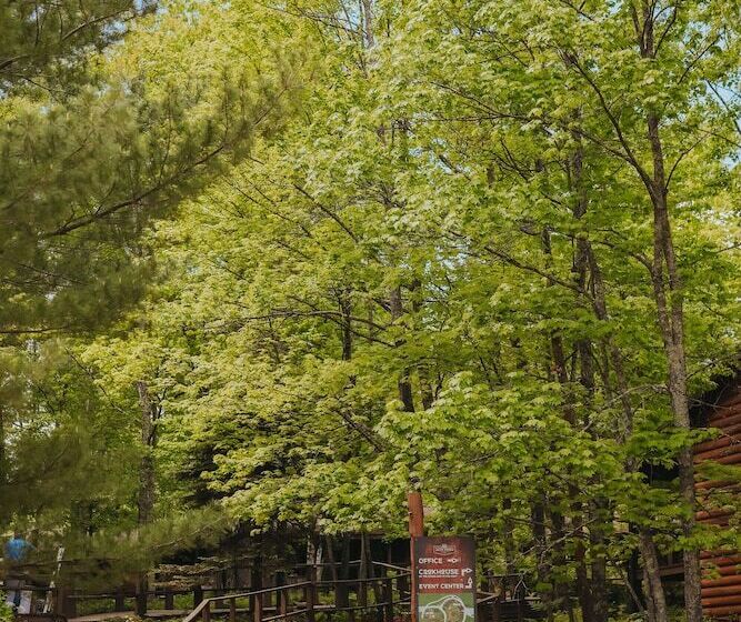 Jack Pines Resort