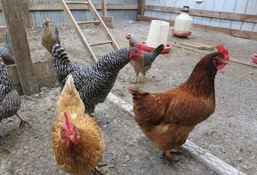 민박 Abbey Road Farm