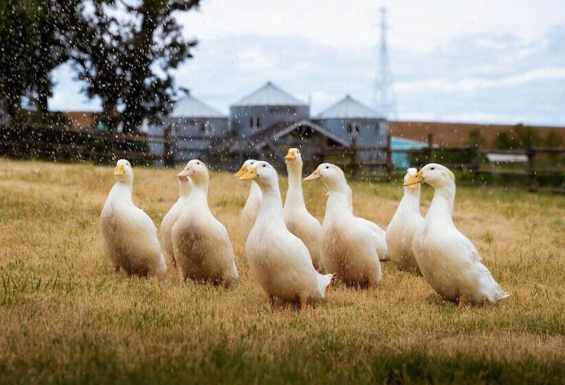 민박 Abbey Road Farm