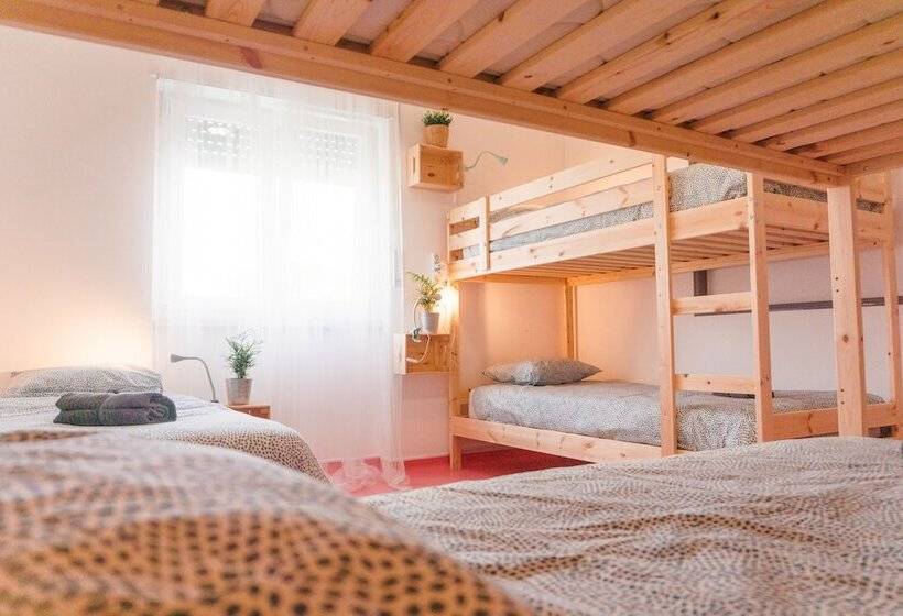 Hospedium República Surf House Hostel