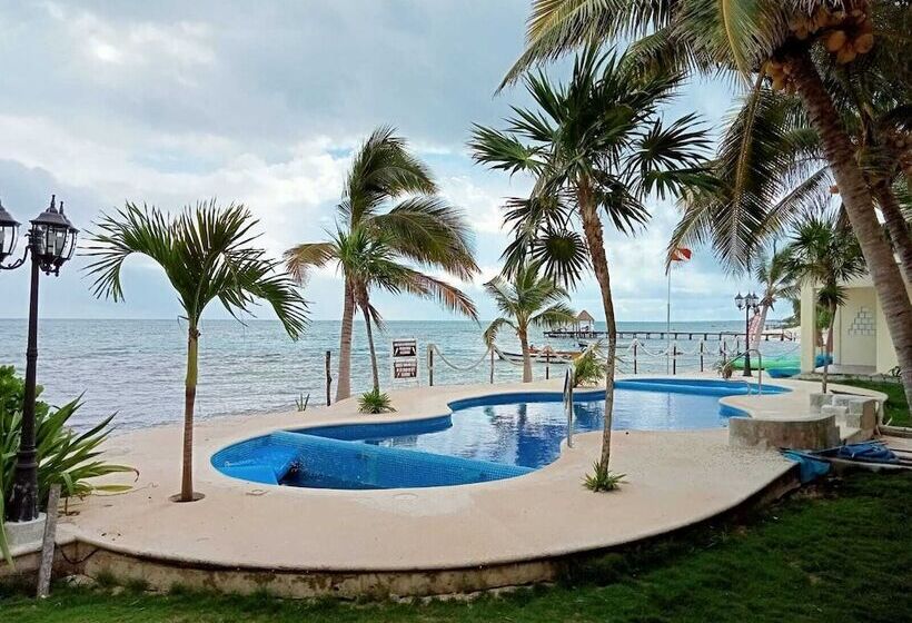 فندق Casa Cenote