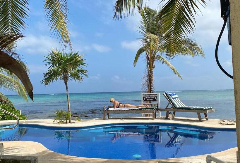 فندق Casa Cenote