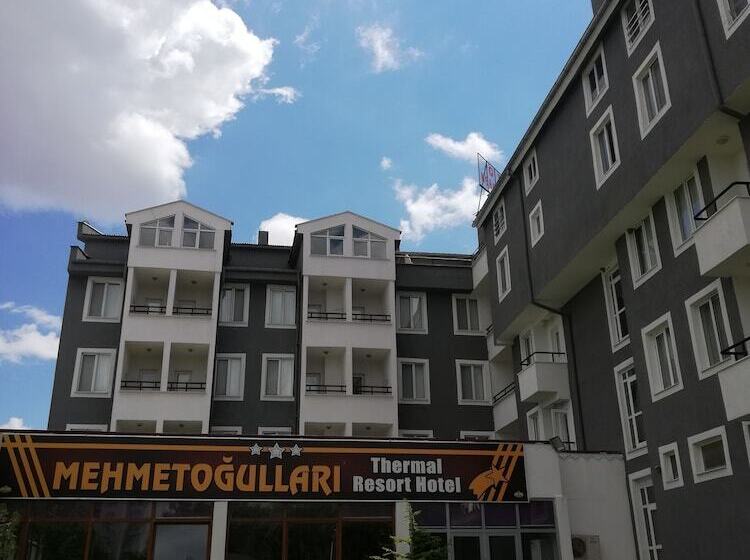 Отель Mehmetoğulları Thermal Resort