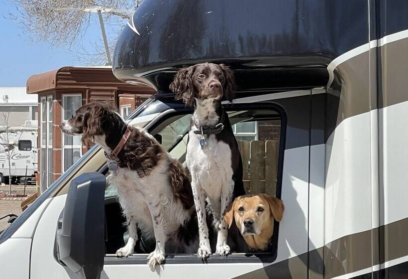 La Junta Colorado Cabins