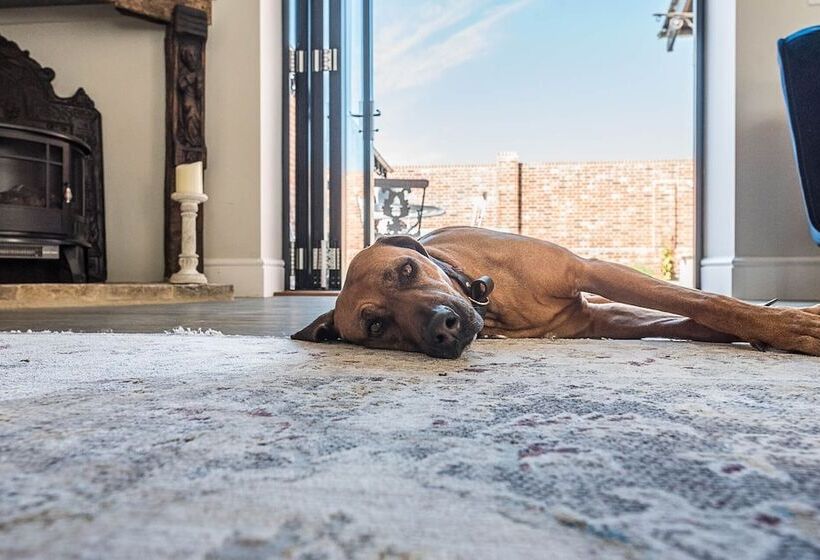 Chapel Cottage, Pond Hall Farm, Hadleigh