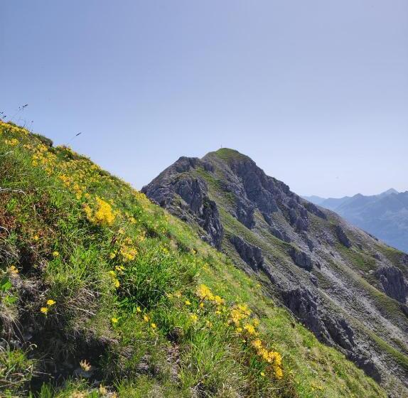 Отель Firstpeak Zauchensee