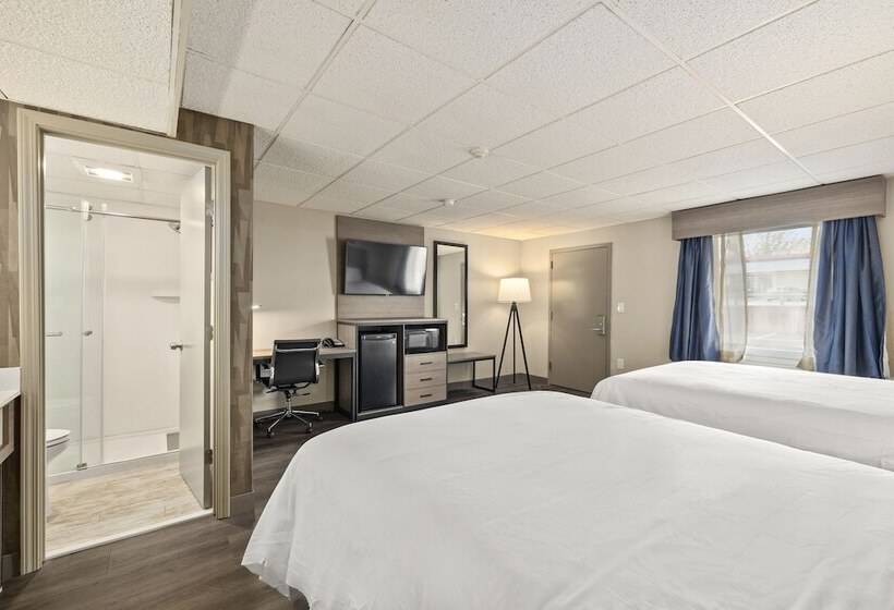 فندق على الطريق The Elmwood