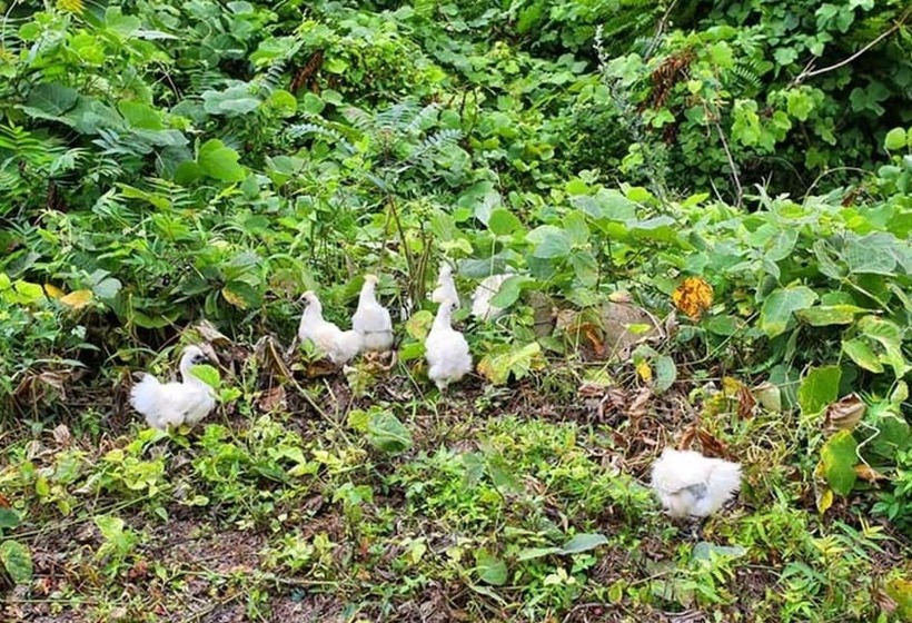 Namhae Baramkkot Pension