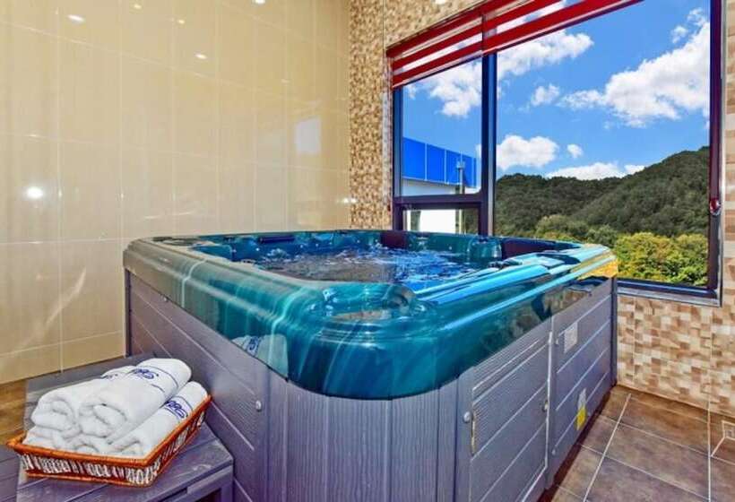 פנסיון Gapyeong Bluel Pool Villa