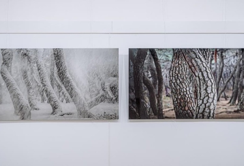 Pohang Cheonnyeonbawi Pension