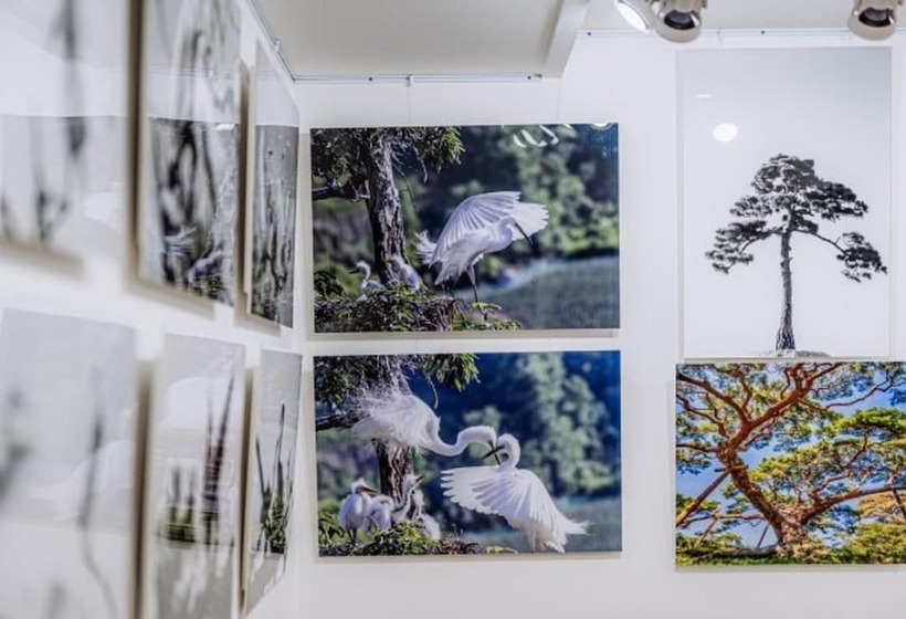 Pohang Cheonnyeonbawi Pension