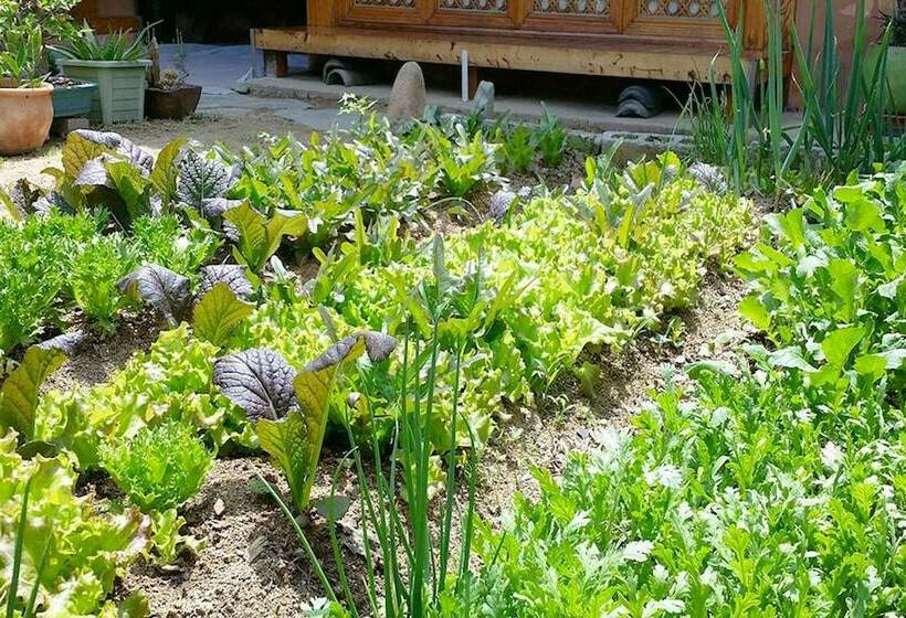 פנסיון Andong Guesthouse Sean